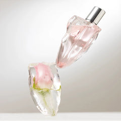 Fragrance 50ml