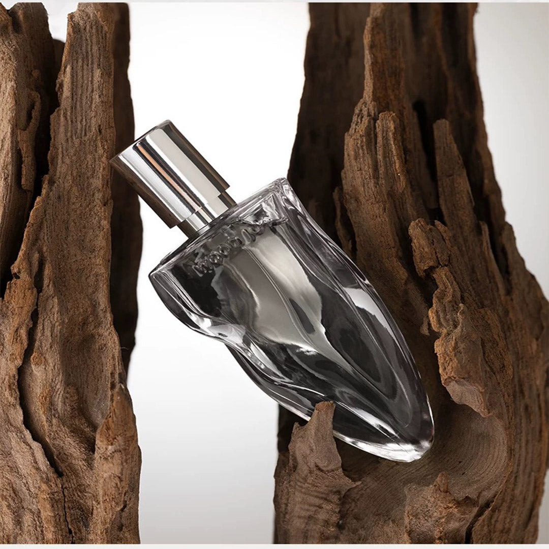 Fragrance 50ml