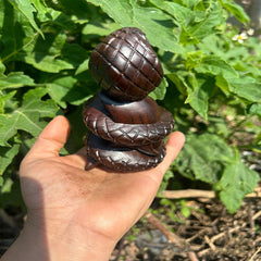Ebony "Fortune Serpent" Sculpture