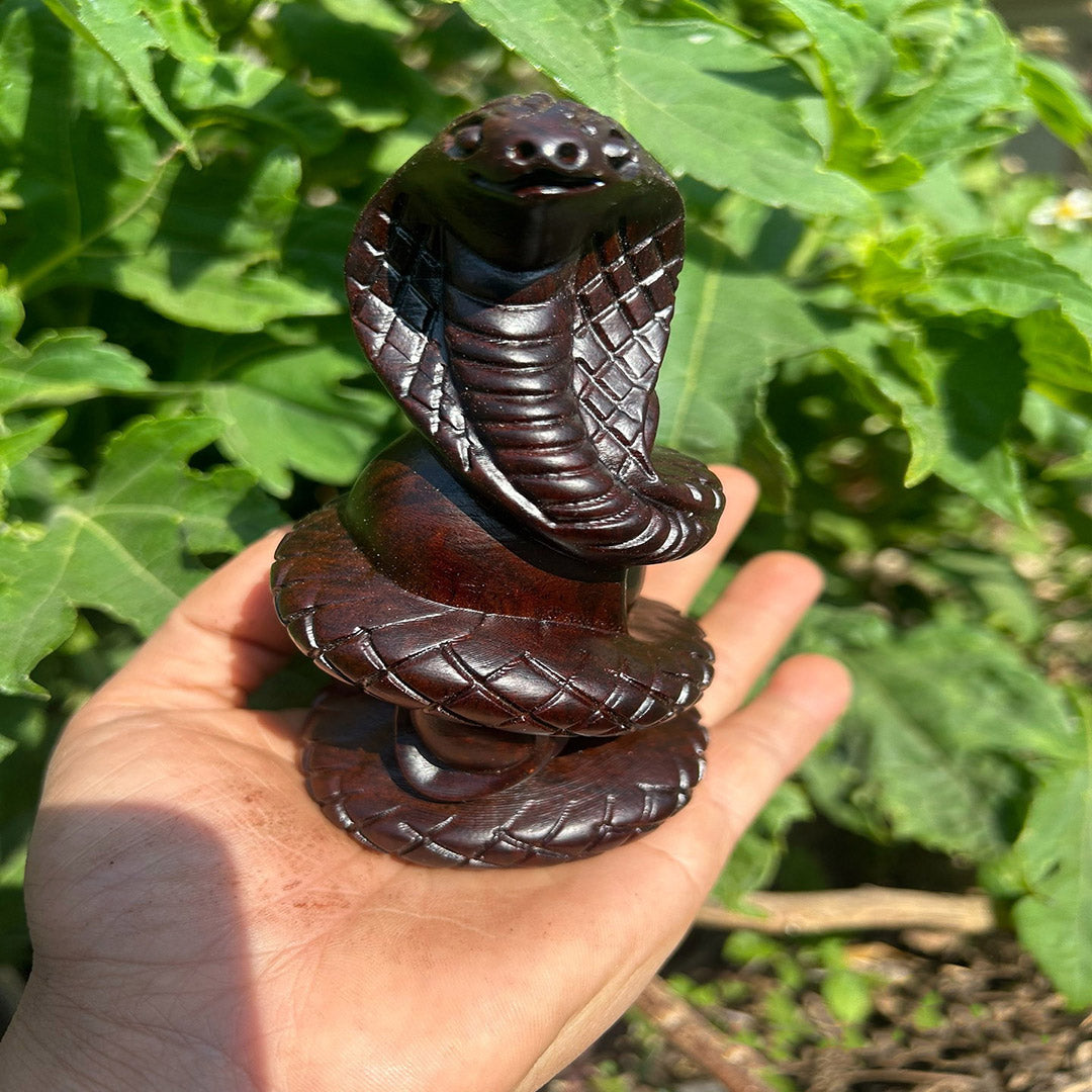 Ebony "Fortune Serpent" Sculpture